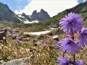 Laghi di Ponteranica ad anello dai Piani d'Avaro (15giu21)